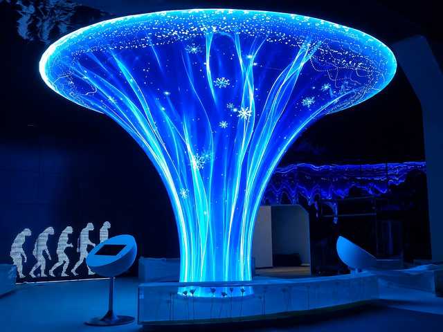 LED Tree Screen — Branching Form